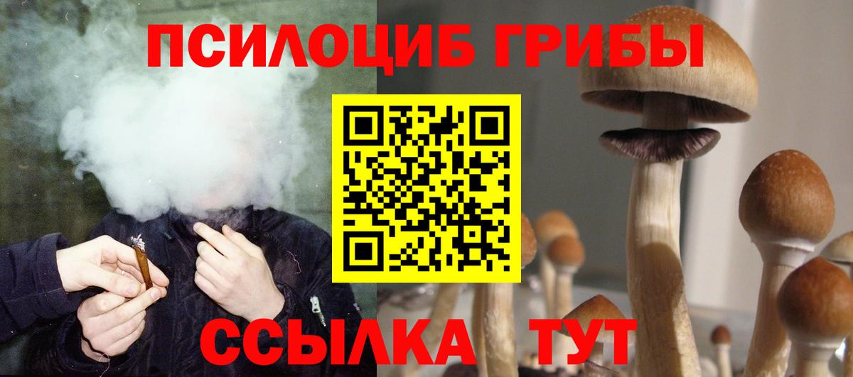 Галлюциногенные грибы мицелий  Вход с VPN  Сокол  Галлюциногенные грибы мухоморы 